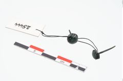 Foto von Bronzenagel (NHMW-PRAE-025444)